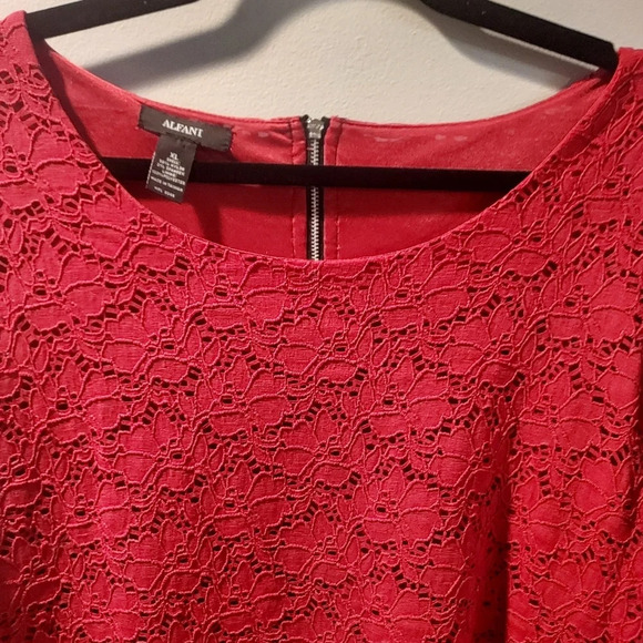 Alfani Red Eyelet Lace Overlay with Back Exposed Zipper in Size XL - Picture 3 of 9